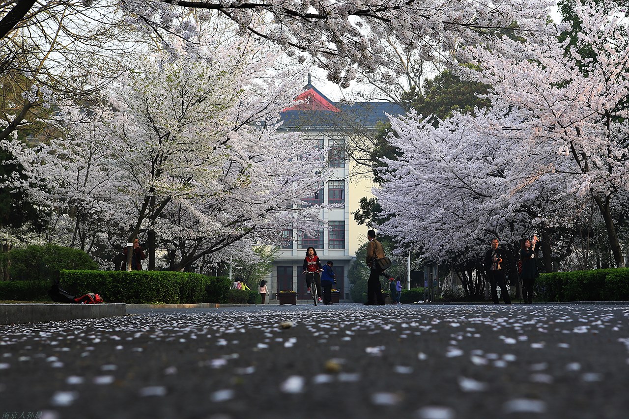 南京林业大学